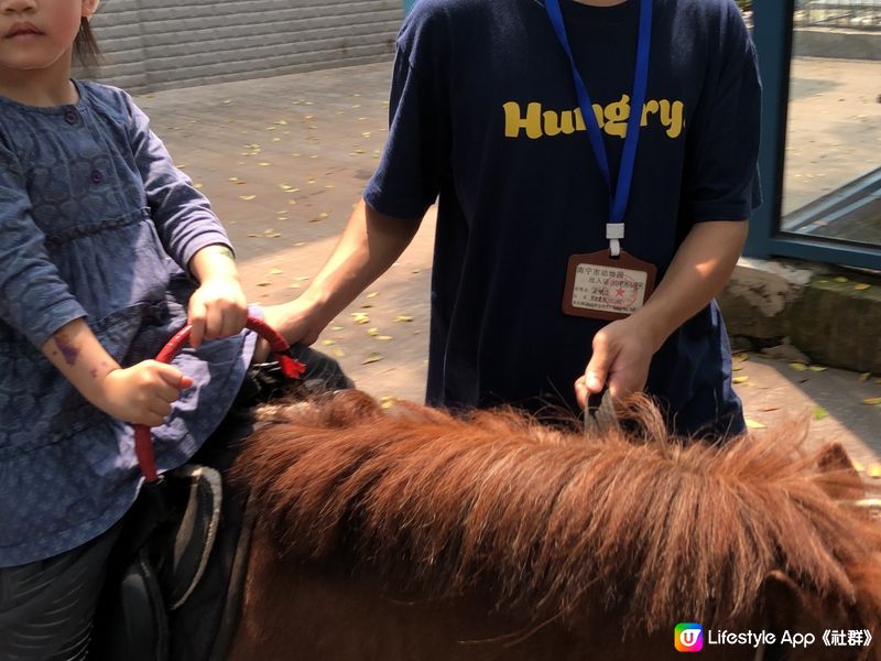 南寧動物園親子遊 🐘🦒🐒  
騎馬仔餵動物，玩到唔捨得走