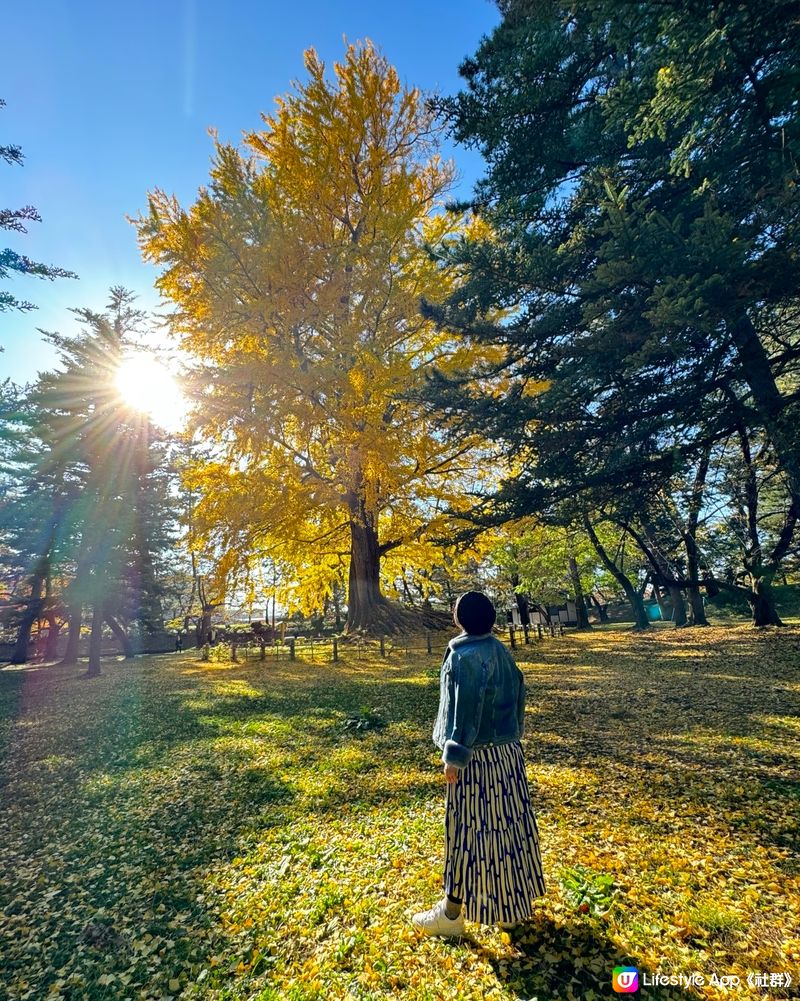 🗺️《開始plan吓》🎌日本🗾青森🏯弘前城🍁秋天旅行