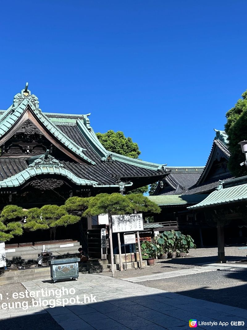 柴又老街散策3️⃣走訪經典日劇場景💕嚐艾草糰子💕賞庭園美景嘆茶點