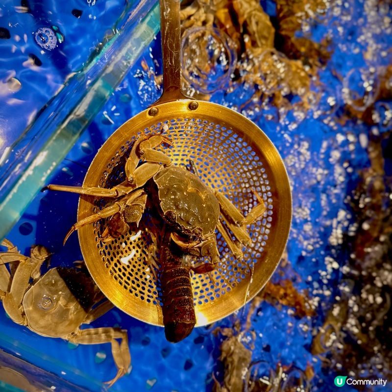 深圳福田區必食海鮮 🦞 舟市水產 288蚊任食！