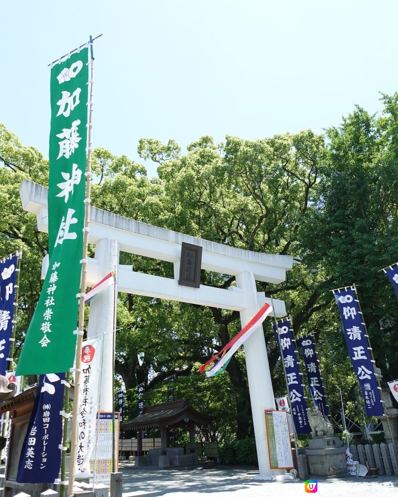 熊本探秘之旅：加藤神社尋古探幽 🏯✨