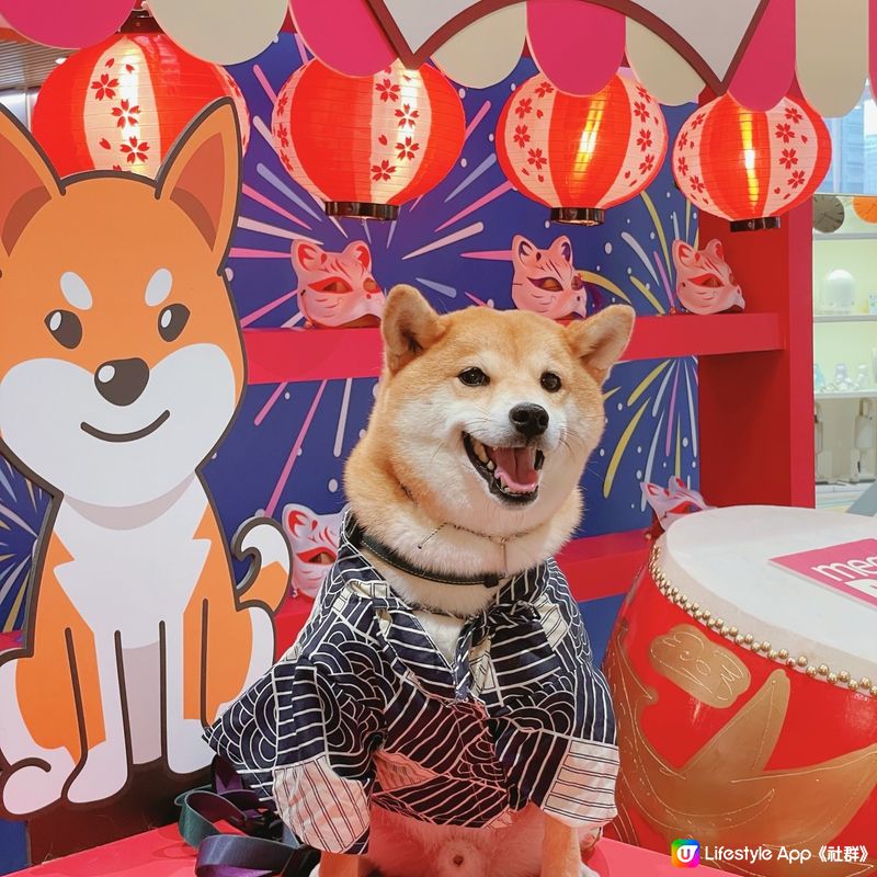 九龍灣。實惠寵物🐾夏日限定派對☀️⛱️