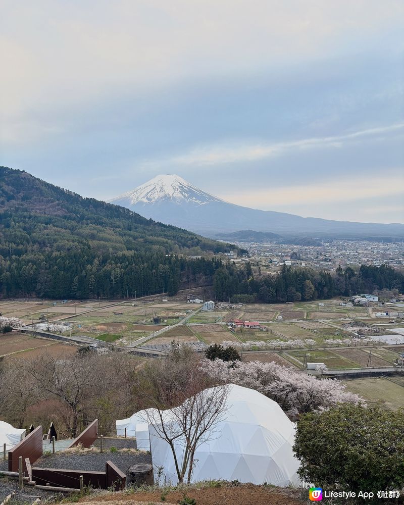 東京住宿丨難忘回憶丨富士山下Glamping🗻