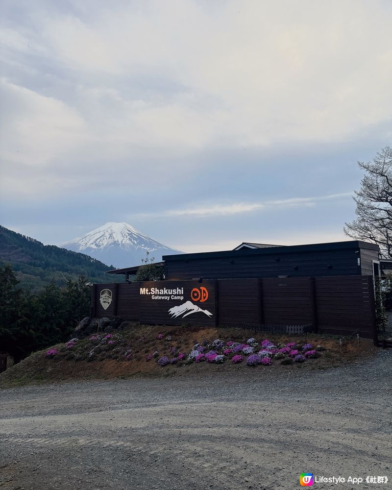 東京住宿丨難忘回憶丨富士山下Glamping🗻