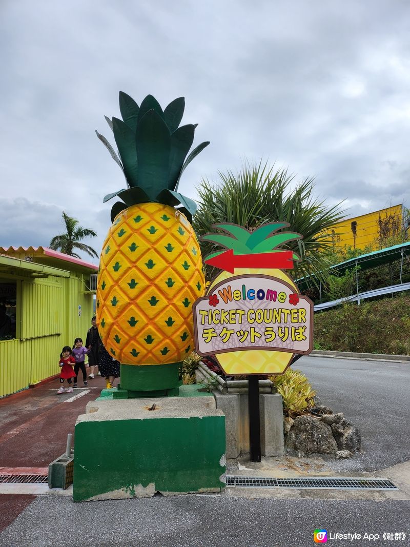 Nago Pineapple Park 🍍