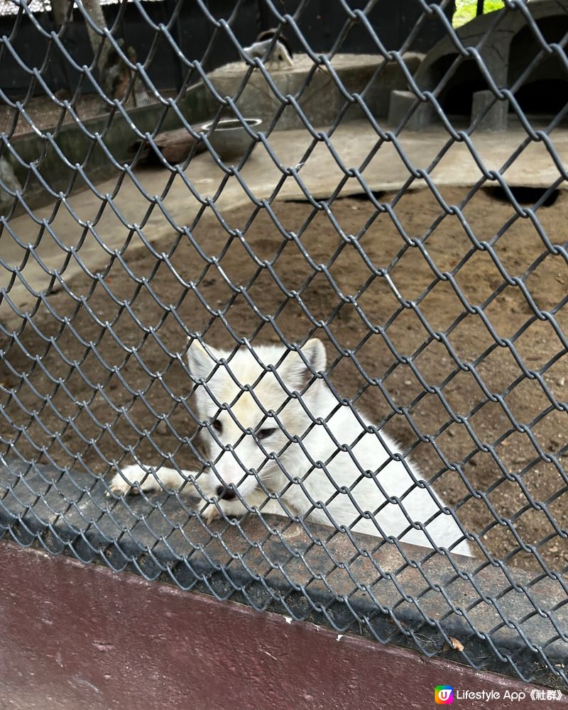 泰國動物園