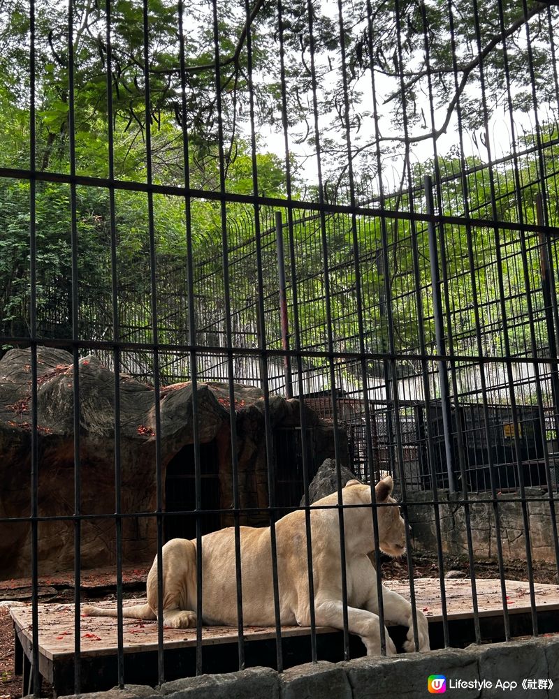 泰國動物園