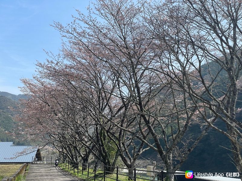 日本四國 Camping 仁淀川Snow Peak