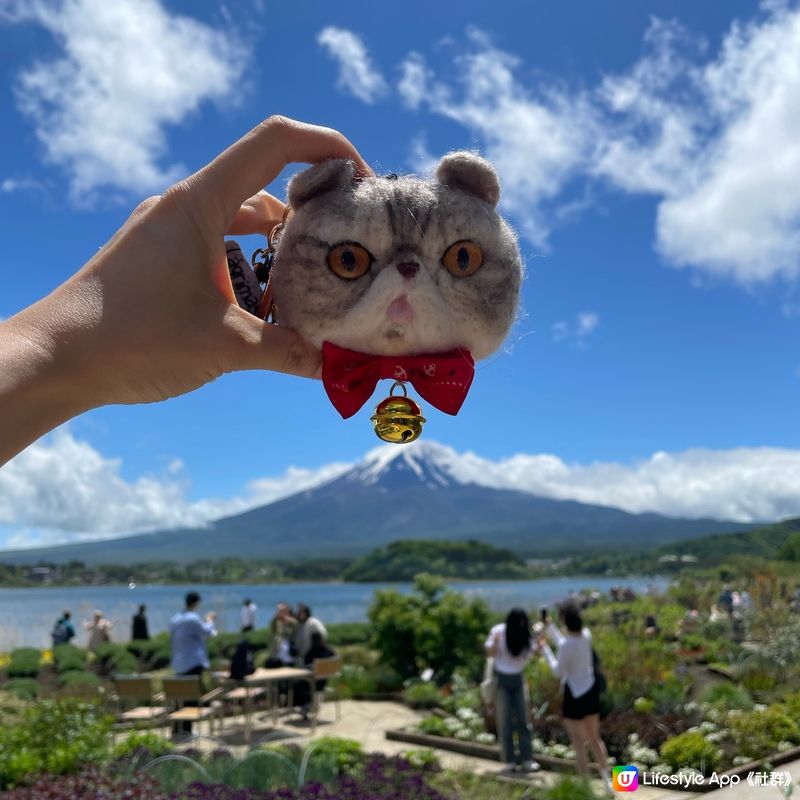 🇯🇵🗻富士山河口湖 大石公園