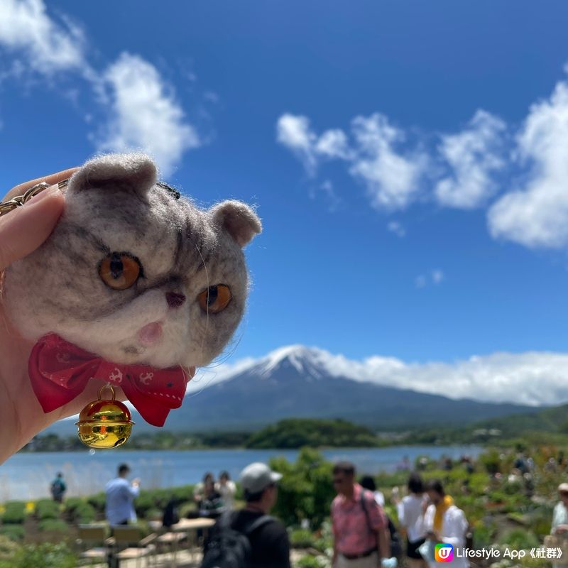 🇯🇵🗻富士山河口湖 大石公園