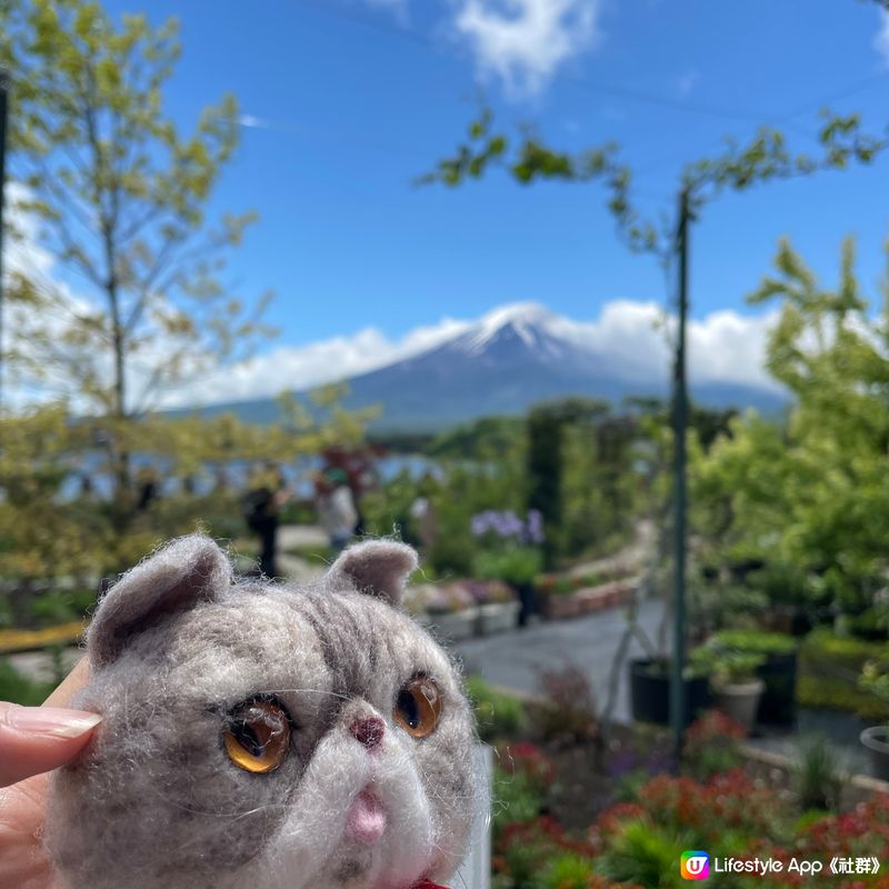 🇯🇵🗻富士山河口湖 大石公園