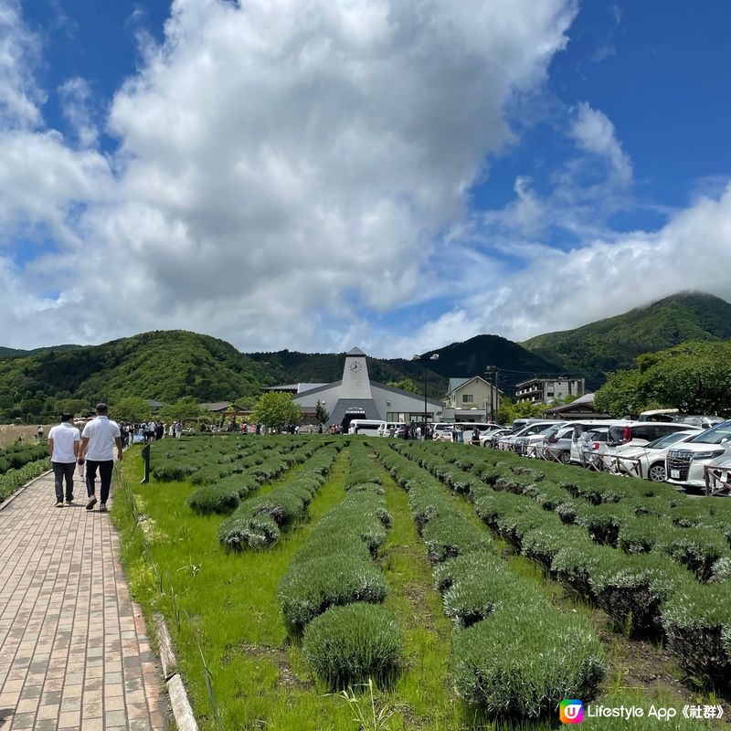 🇯🇵🗻富士山河口湖 大石公園