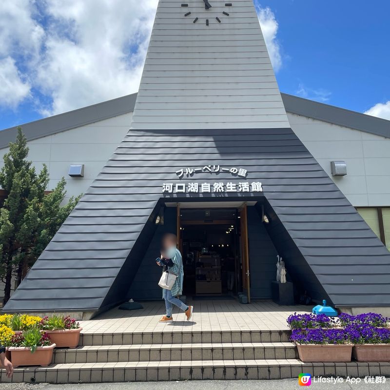 🇯🇵🗻富士山河口湖 大石公園