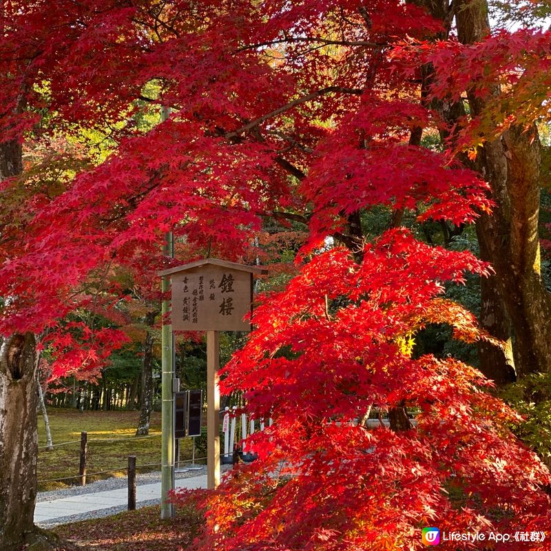 🗺️《開始plan吓》🎌京都🍁秋天必到⛩️金閣寺