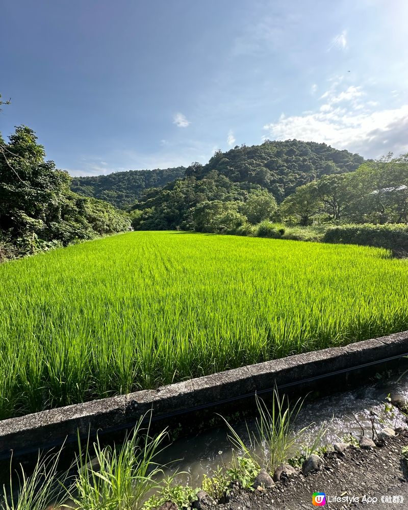 說走就走的6日生日旅行 台灣行 Day 3