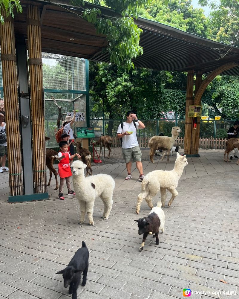 窩窩萌動物園