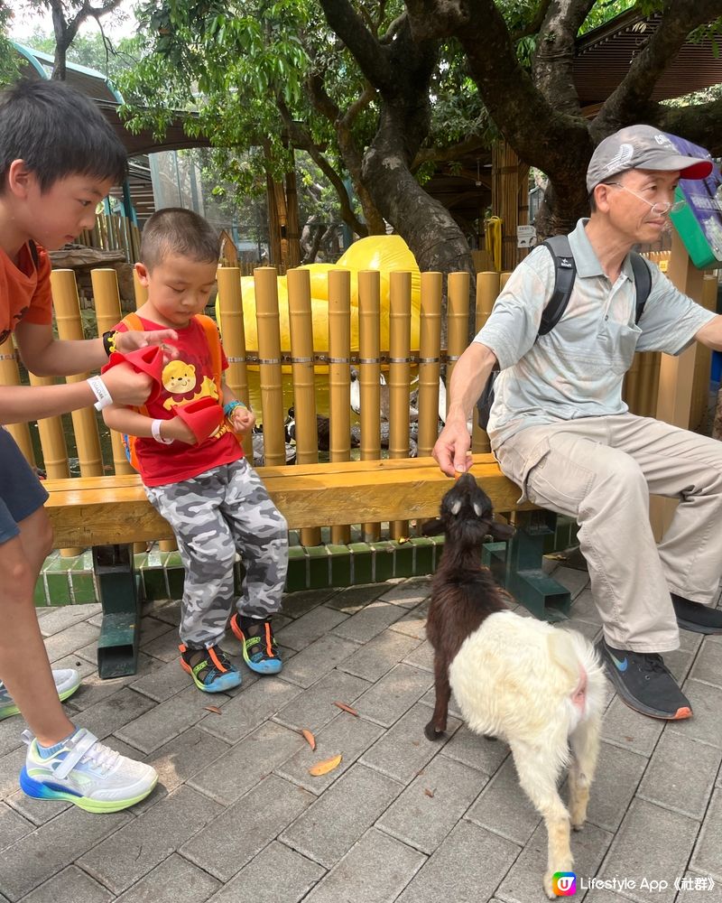 窩窩萌動物園