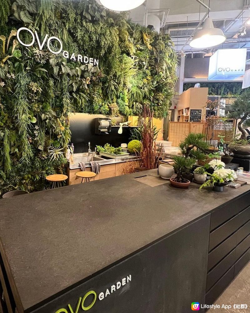 [香港] Ovo • 灣仔素食Cafe🍉🥭🥬 