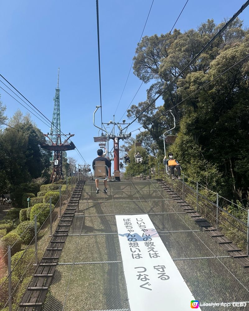 愛媛縣景點🏯松山城賞櫻🌸