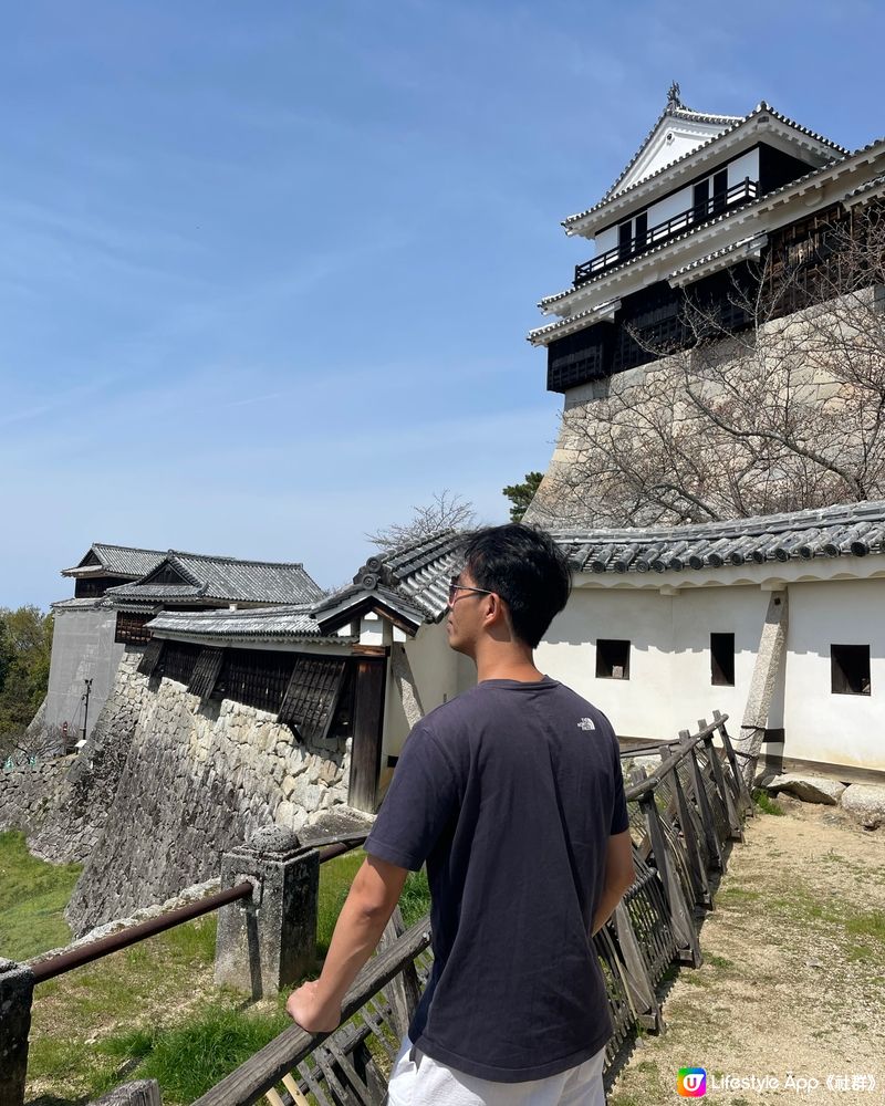 愛媛縣景點🏯松山城賞櫻🌸