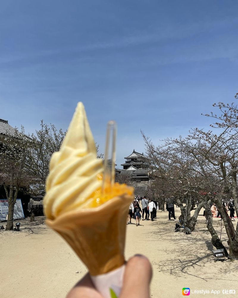 愛媛縣景點🏯松山城賞櫻🌸