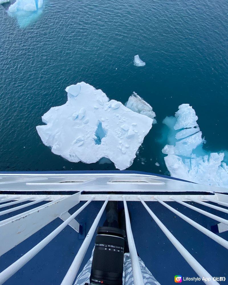 🗺️ 《南極》南極遊輪點揀好？🛫🐧🛳️