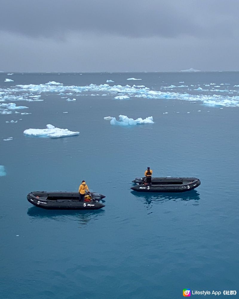 🗺️ 《南極》南極遊輪點揀好？🛫🐧🛳️