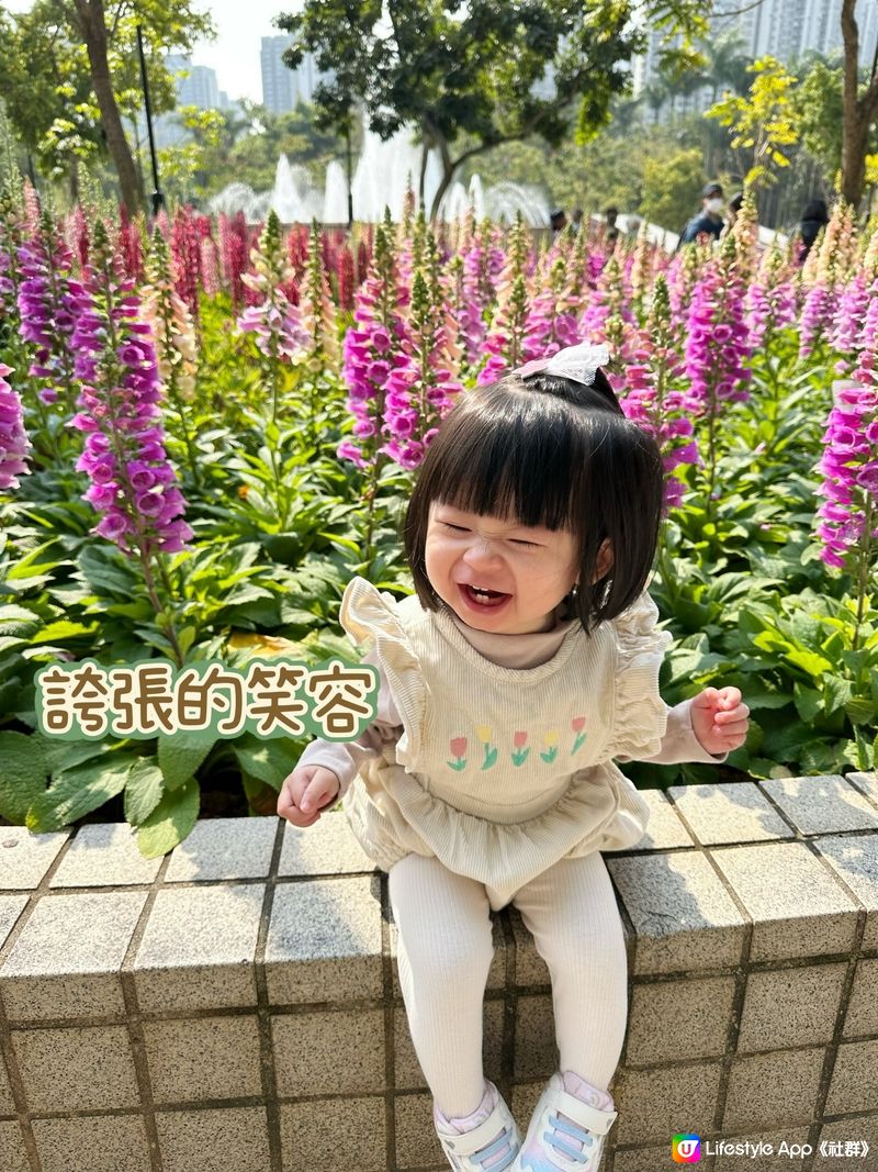 賞花🌸表情包Baybay👶🏻笑容篇