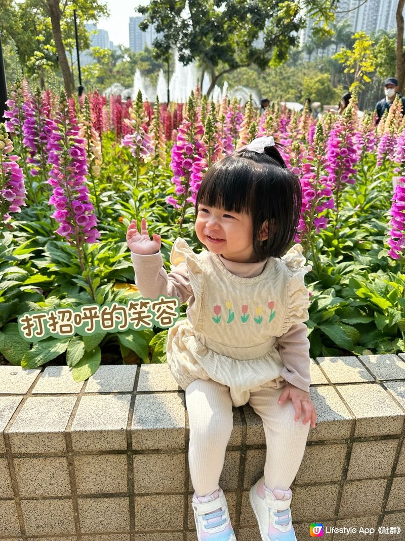 賞花🌸表情包Baybay👶🏻笑容篇