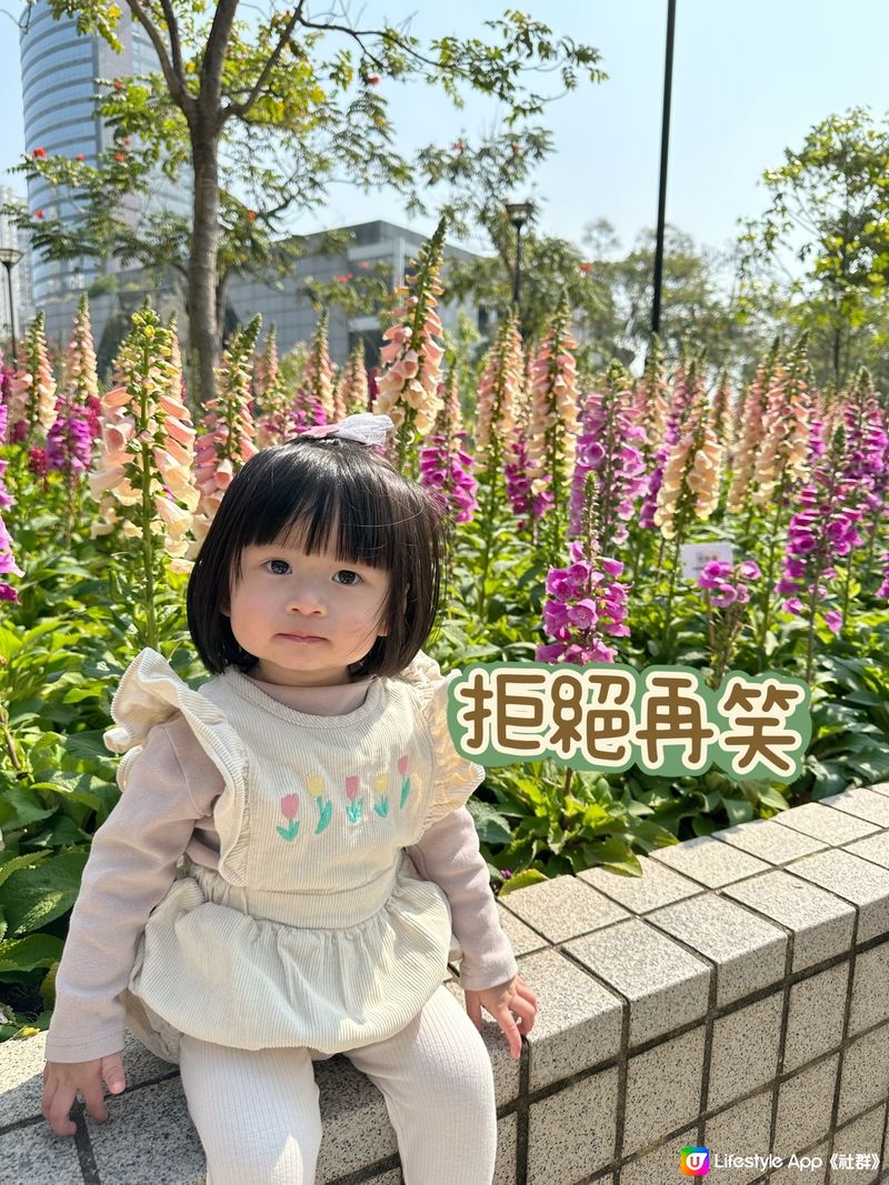 賞花🌸表情包Baybay👶🏻笑容篇