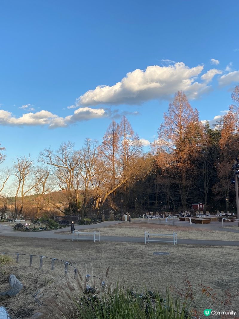 東京🪵姆明樂園🍄