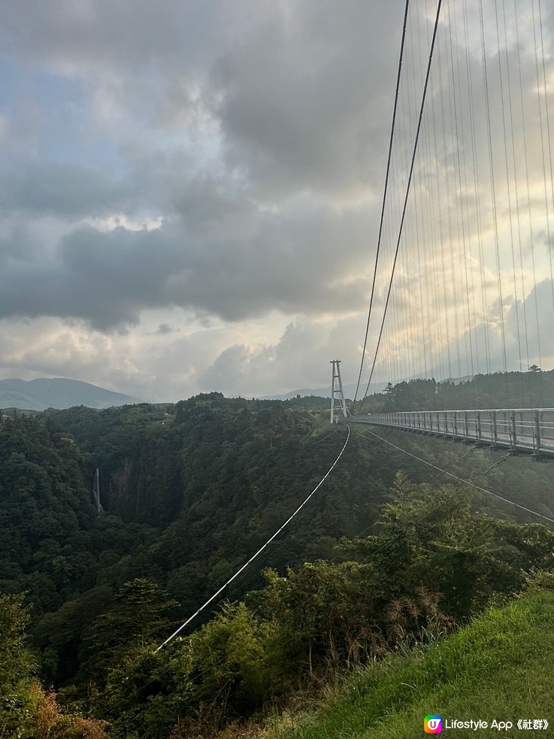 《5》驚心動魄 - 九重夢大吊橋