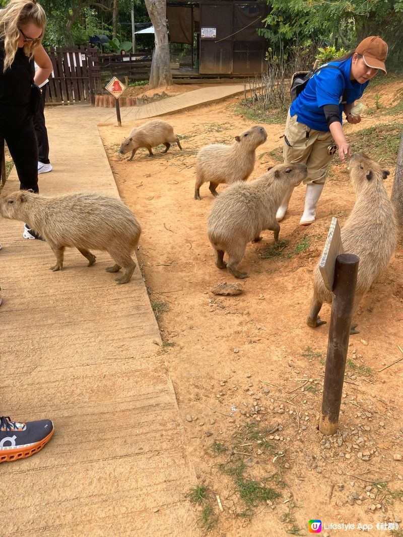 沖繩東南動物園