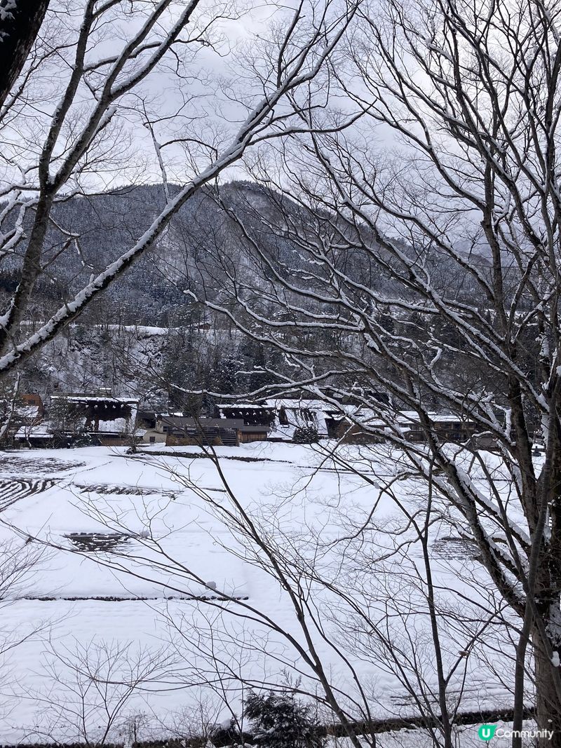 歷史文化遺產白川鄉