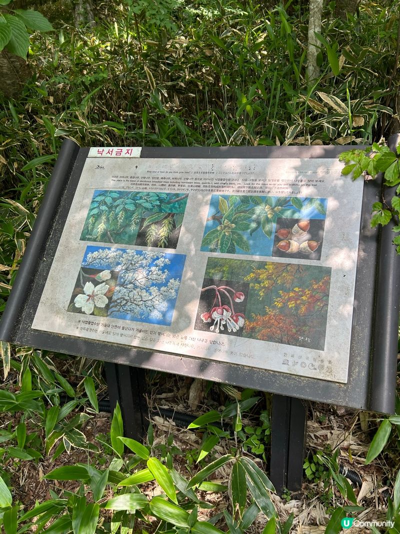 漢拏山御里牧登山