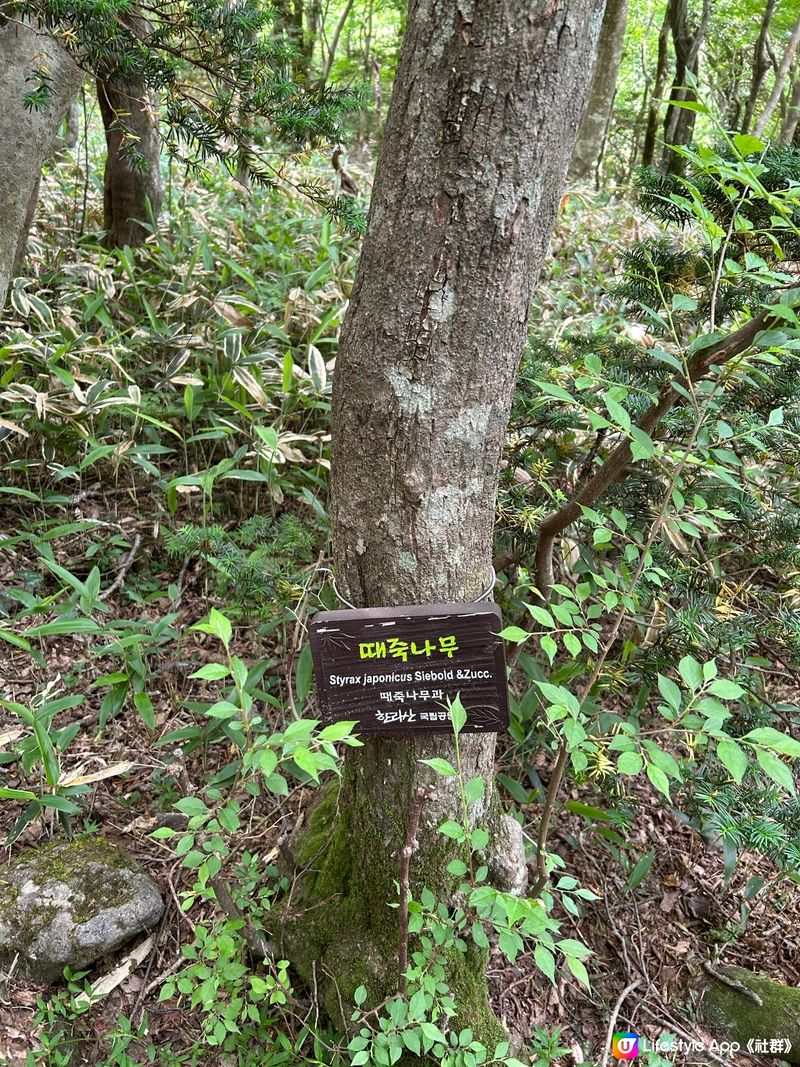 漢拏山御里牧登山