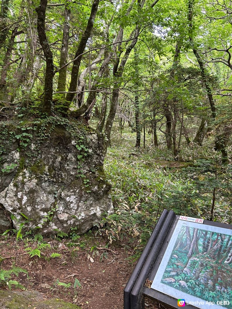 漢拏山御里牧登山