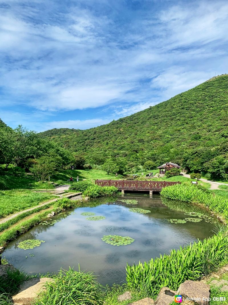 陽明山二子坪步道，全程是無障礙全長1.8公里，很適合帶長輩小...