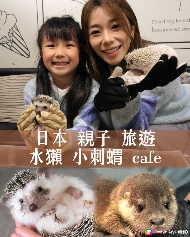 ｛日本親子遊推介｝HARRY 水獺🦦刺蝟 🦔兔仔cafe 