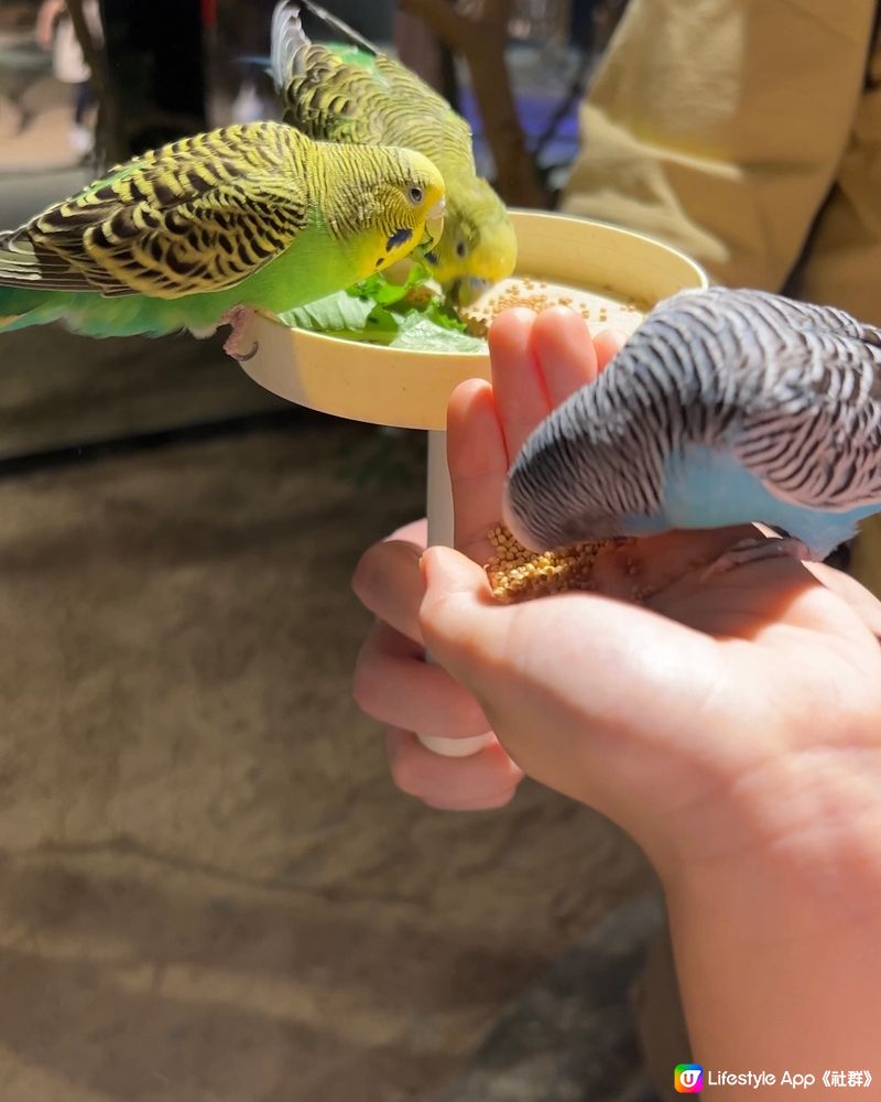 ｛港車北上去珠海｝室內動物園