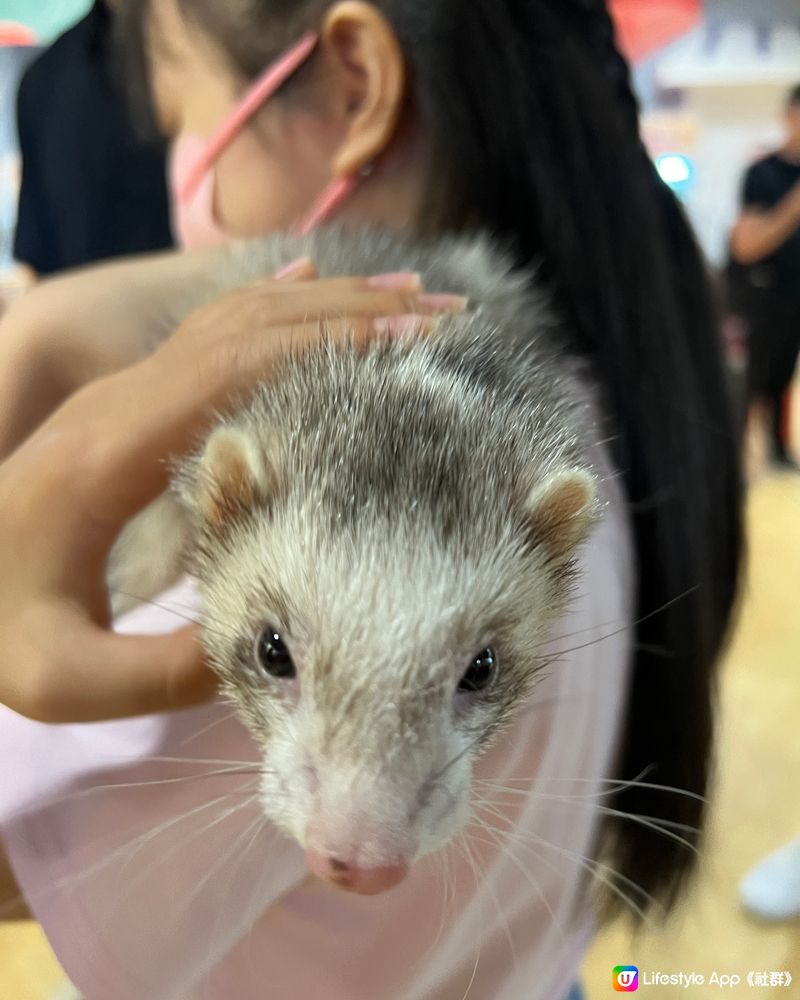 ｛港車北上去珠海｝室內動物園