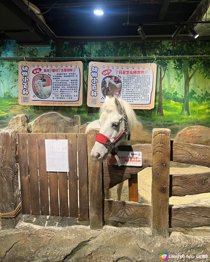 ｛港車北上去珠海｝室內動物園