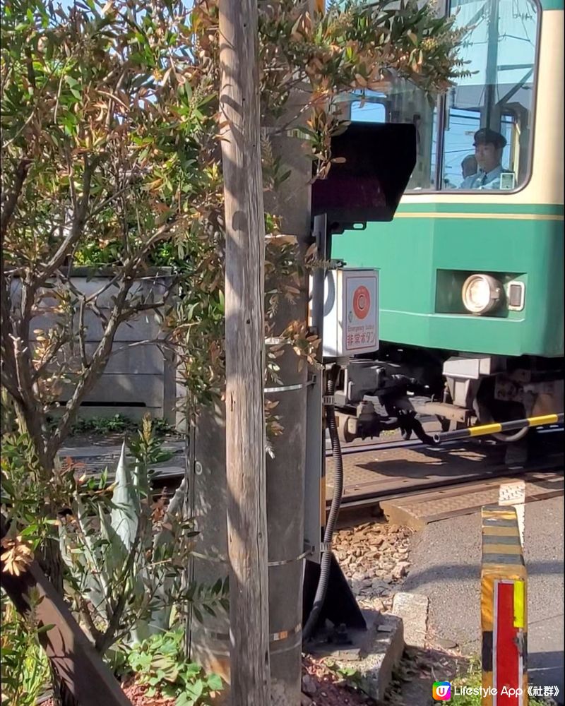 䥥倉 🚞 稻村ケ崎 Cafe Yoridocoro ヨリド