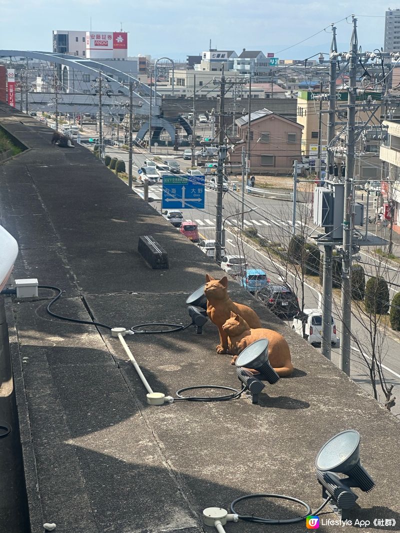 常滑探索動漫之旅🐱  30分鐘打卡超值！😭💖