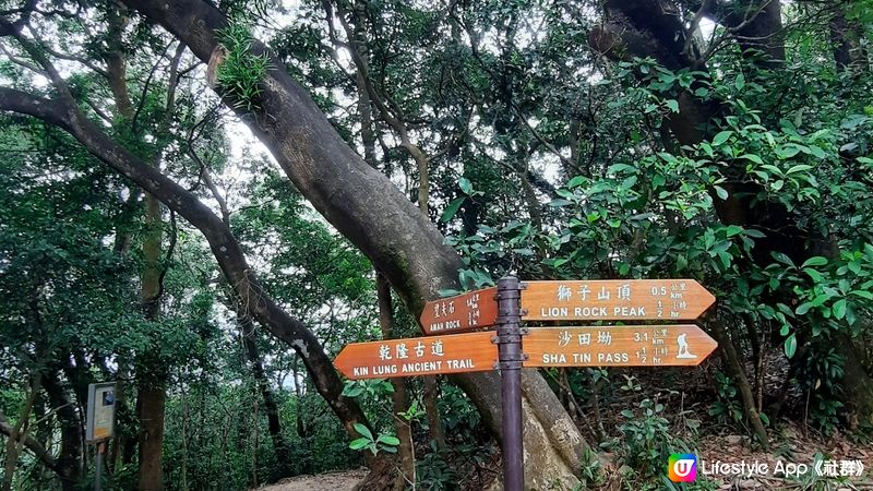 輕鬆行🥾畢架山>大圍 2.5hr🕜