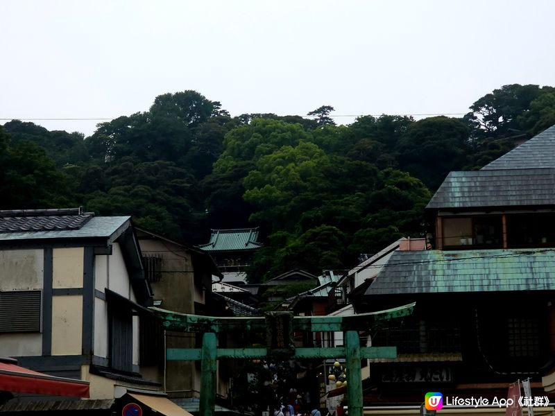 江之島🎏藤澤花語