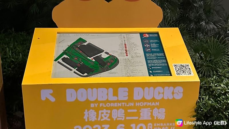 Double Duck