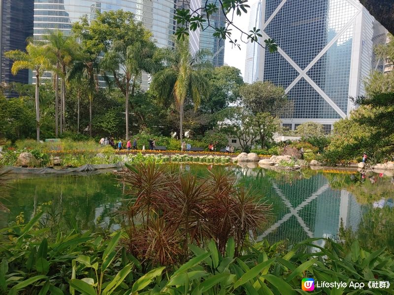 Lovely park to visit in HK