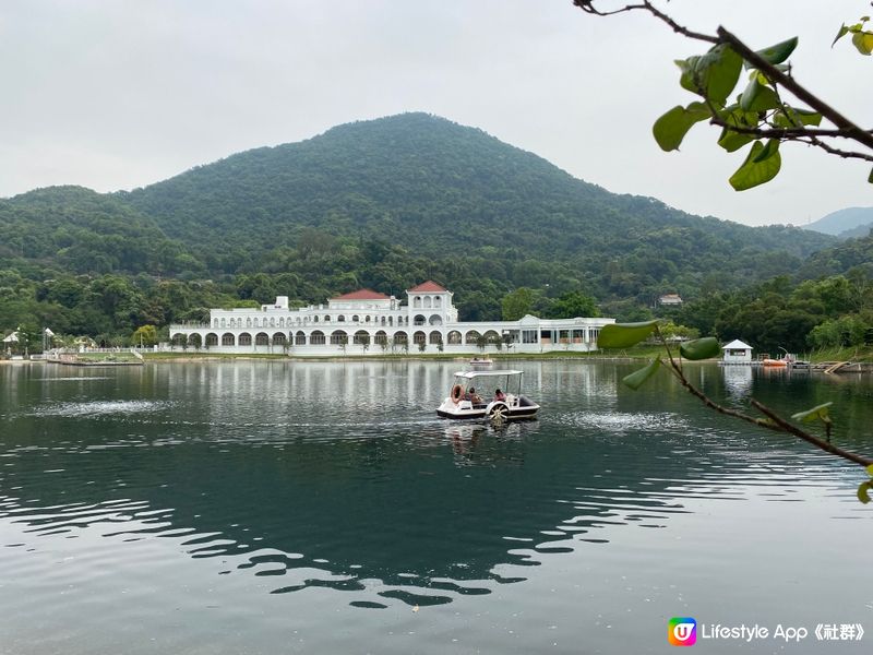 悠閑的打卡地方 🦢