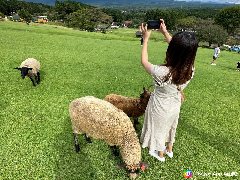 能看富士山🗻 馬飼野牧場🐴🐑🐄